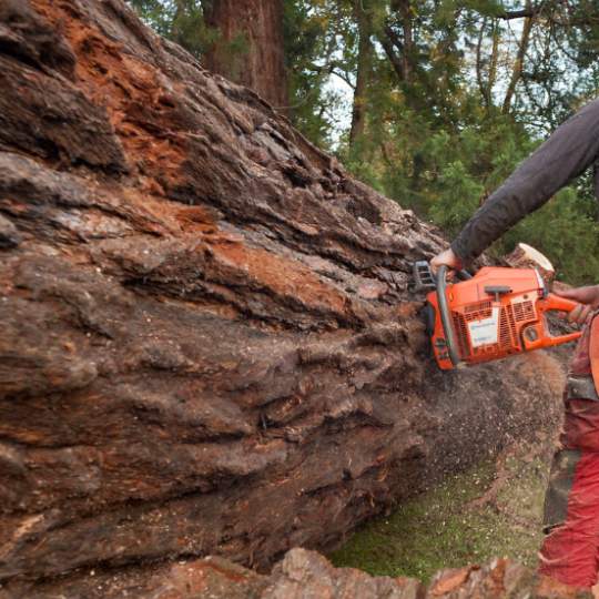 Husqvarna 3120 XP 110 cm Zaagblad