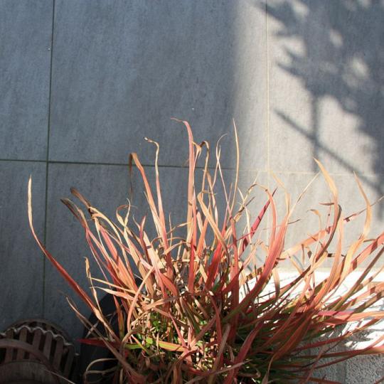 Kera Twice 60x60x4,8 cm Moonstone Piombo