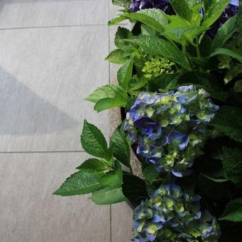 Kera Twice 60x60x4,8 cm Moonstone Piombo