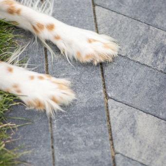 Romano Punto 40x8x8 cm Grezzo