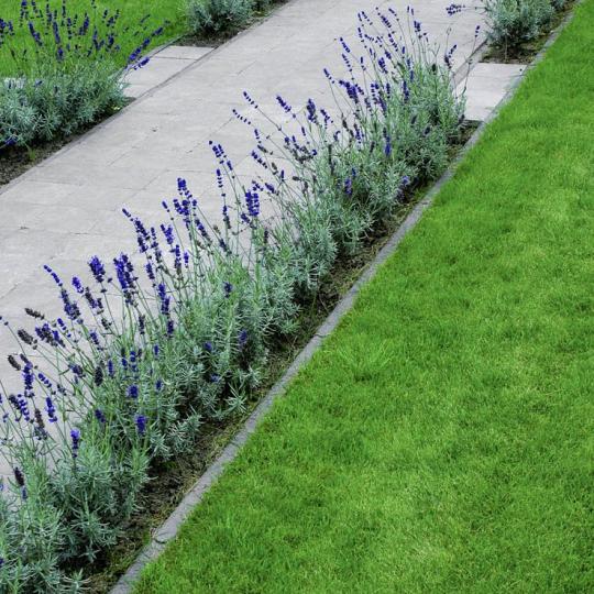 Opsluitband 6x20x100 cm vb antraciet