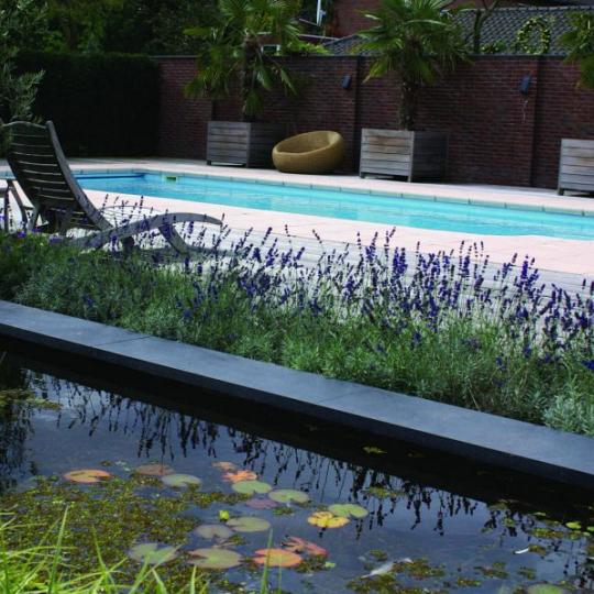 Vijverrand 100x30x3 cm Black (6 zijdes verzoet, 8 facetranden)