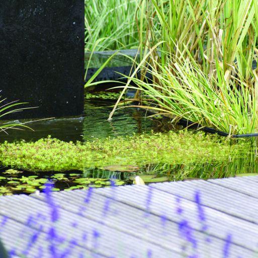 Vijverrand 100x30x3 cm Black (6 zijdes verzoet, 8 facetranden)