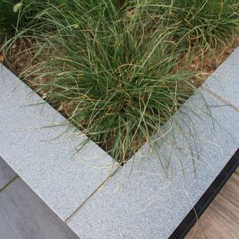 Vijverrand 100x20x3 cm Dark Grey (6 zijdes verzoet, 8 facetranden)