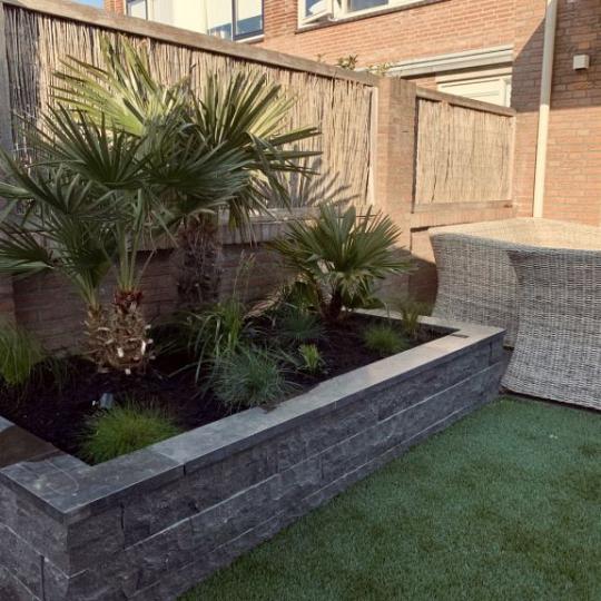 Siam Bluestone vijverrand 100x15x3 cm verzoet