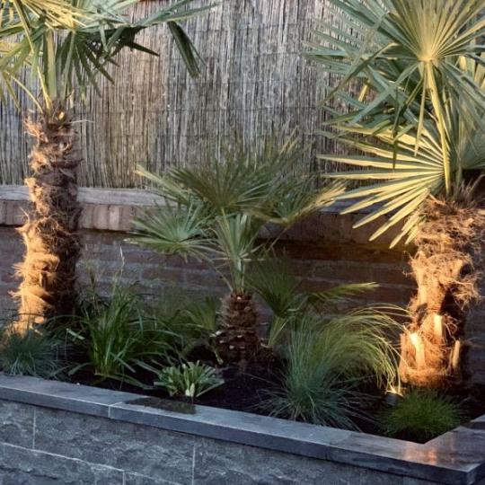 Siam Bluestone vijverrand 100x15x3 cm verzoet