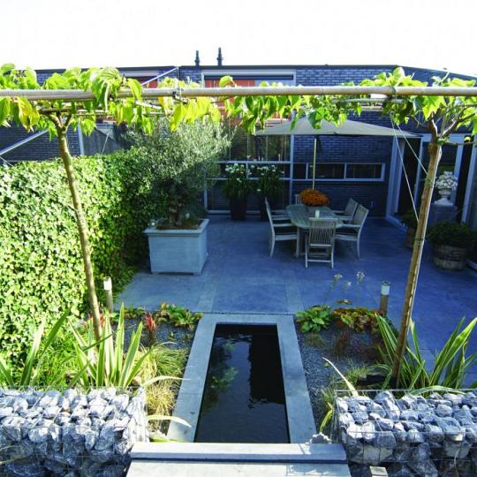 Siam Bluestone vijverrand 100x25x3 cm verzoet