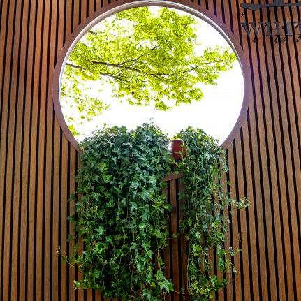 NewTechWood HKC co-extrusie Castellation PRO35 gevelbekleding, 3,3 x 21,5 x 290 cm, Ipe.