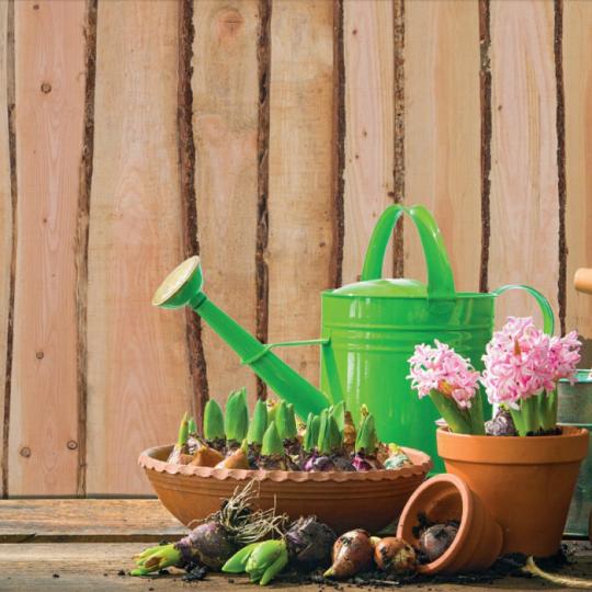 Elephant schutting Country Douglas FSC 5,4 x 180 x 180 cm – Natuurlijk, duurzaam en robuust