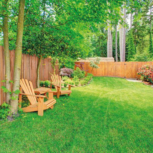 Elephant schutting Country Douglas FSC 5,4 x 180 x 180 cm – Natuurlijk, duurzaam en robuust