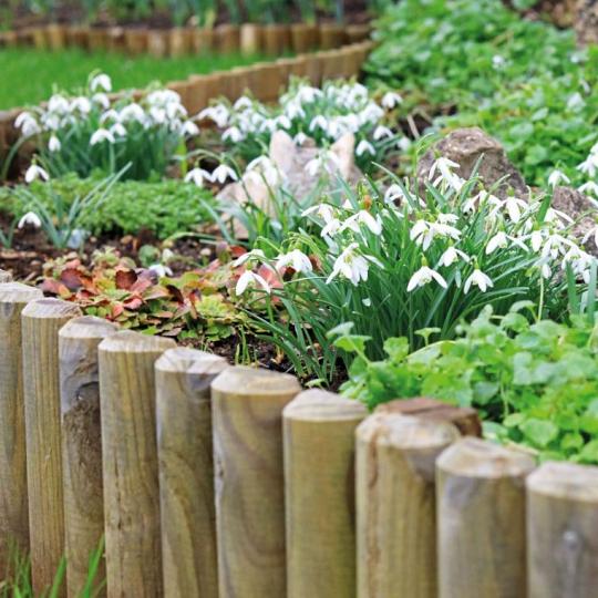 Elephant tuindeur bruin verduurzaamd Vuren FSC 47x900x1800mm – strak, duurzaam en stijlvol