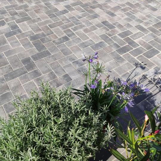 Design Brick 8 cm Ocean Komo – stijlvolle gevelsteen met unieke uitstraling