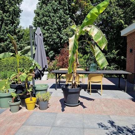 Design Square 60x60x4 cm Dark Sepia – Tijdloos design met karakter