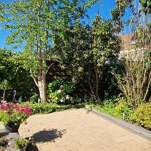 Stonique Trommelsteen 20x30x6 cm oud kampen – Stijlvolle Natuursteen voor Tuin en Oprit