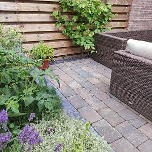 Stonique Trommelsteen 20x30x6 cm chelsea – Stijlvolle Natuursteen voor Tuin en Oprit