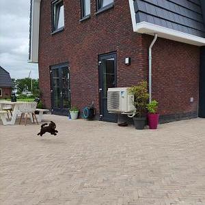 Stonique trommelsteen waalformaat 7 cm oud kampen – stijlvolle bestrating met karakter