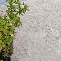 Stonique trommelsteen waalformaat 7 cm oud kampen – stijlvolle bestrating met karakter