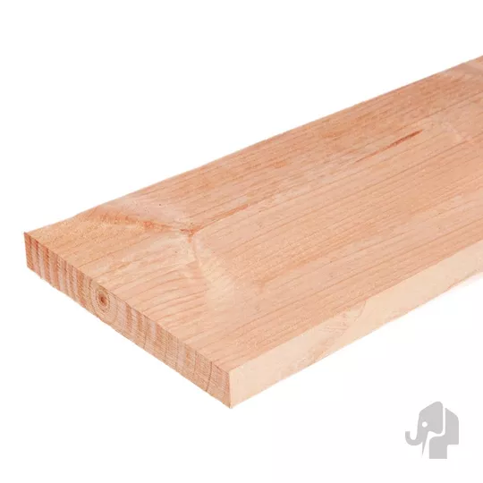 Elephant schuttingplank gedroogd Douglas PEFC 1,6x14x300 cm – duurzaam, strak en natuurlijk