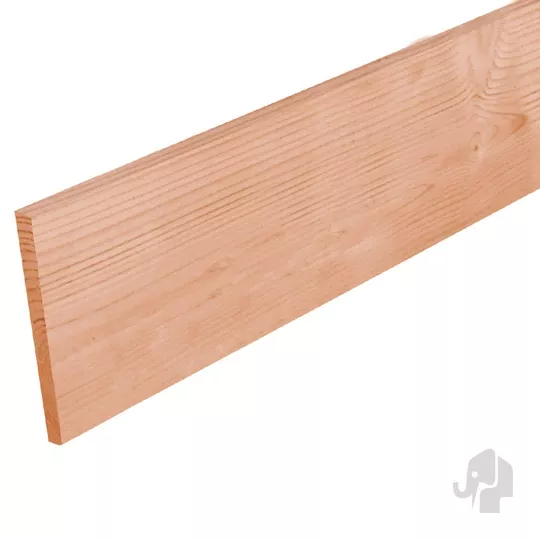 Elephant schuttingplank XL gedroogd Douglas PEFC 1,6x15,5x240 cm
