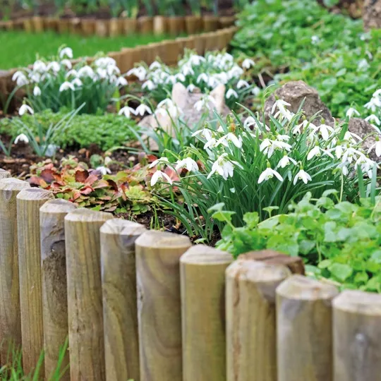 Elephant Rolborder Verduurzaamd Grenen FSC 40x250 cm (Extra Lang)