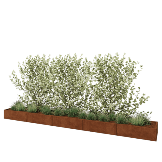 Cortenstaal plantenbak XXL - Rechthoek - 500 x 60 x 30 cm - Zonder bodemplaat