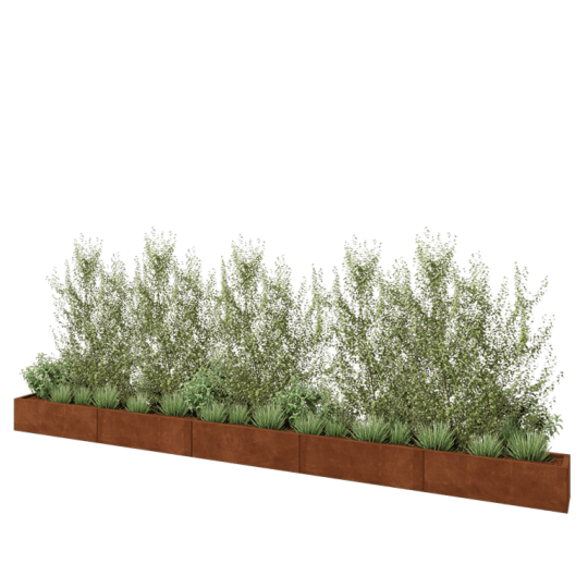 Cortenstaal plantenbak XXL - Rechthoek - 500 x 30 x 30 cm - Zonder bodemplaat