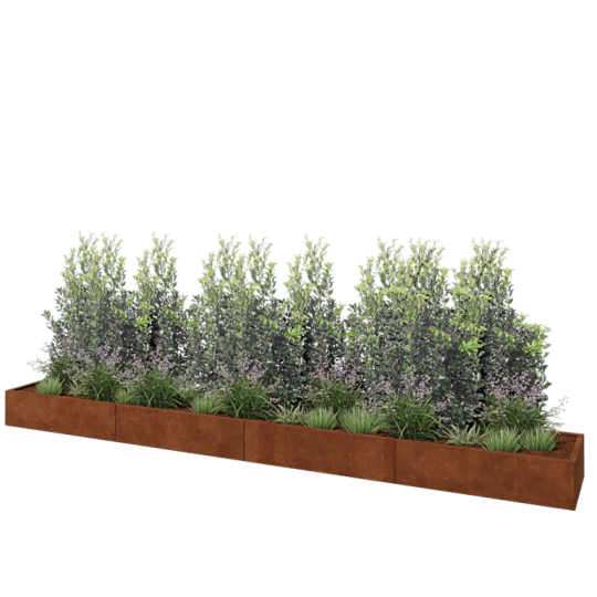 Cortenstaal plantenbak XXL - Rechthoek - 480 x 60 x 30 cm - Met bodemplaat