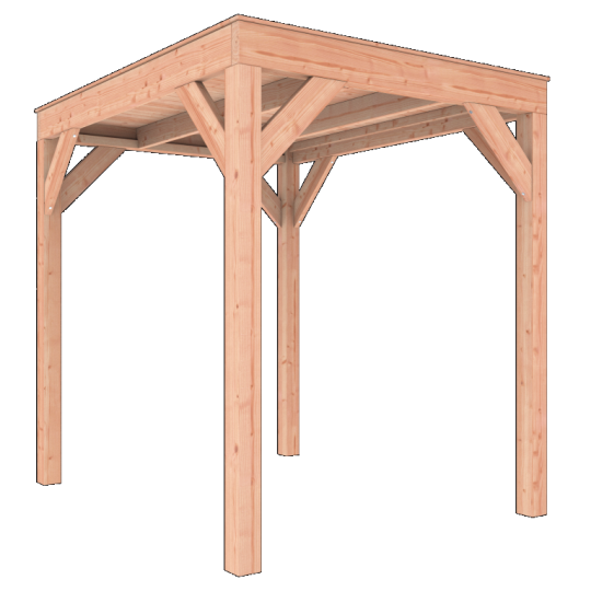 Douglas Overkapping 200x250 – Compact, Sterk en Stijlvol