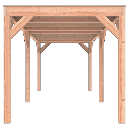 Douglas Overkapping 550x250 A-Sym/2 – Ruim, Modern en Duurzaam