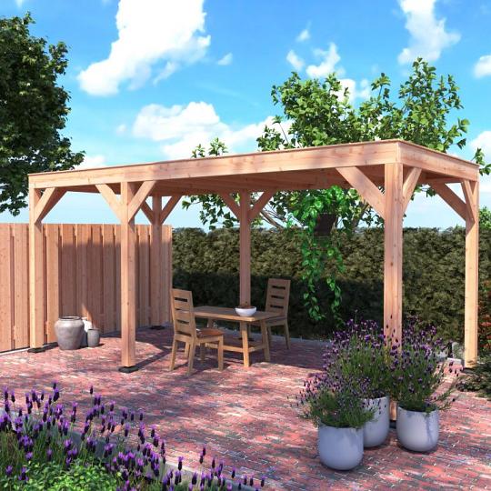 Douglas Overkapping 550x250 A-Sym/1 – Ruim, Modern en Duurzaam