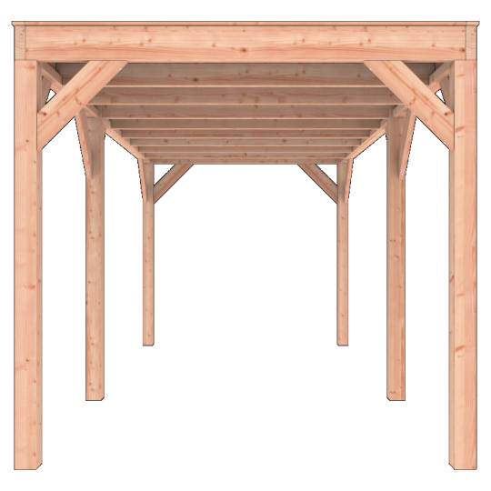 Douglas Overkapping 550x250 A-Sym/1 – Ruim, Modern en Duurzaam