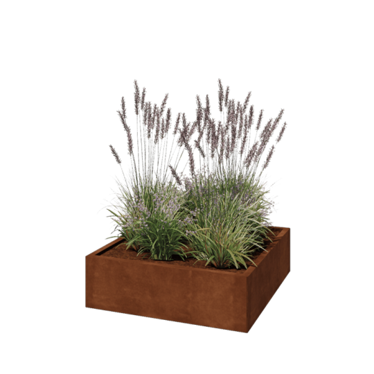 Cortenstaal plantenbak - Vierkant - 100 x 100 x 30 cm - Met bodemplaat
