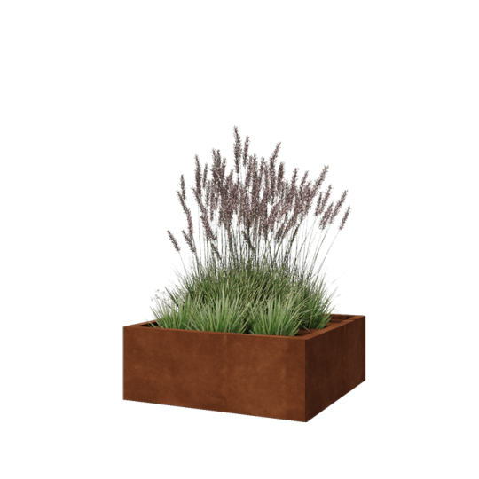 Cortenstaal plantenbak - Vierkant - 80 x 80 x 30 cm - Met bodemplaat