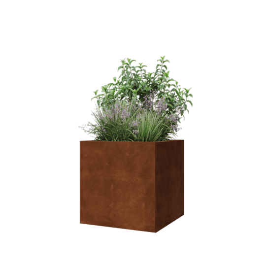 Cortenstaal plantenbak - Vierkant - 60 x 60 x 60 cm - Zonder bodemplaat