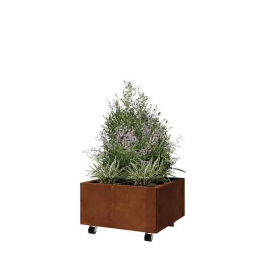 Cortenstaal plantenbak - Vierkant - 60 x 60 x 30 cm - Met bodemplaat - Met wielen