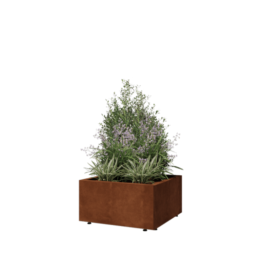 Cortenstaal plantenbak - Vierkant - 60 x 60 x 30 cm - Met bodemplaat - Met poten