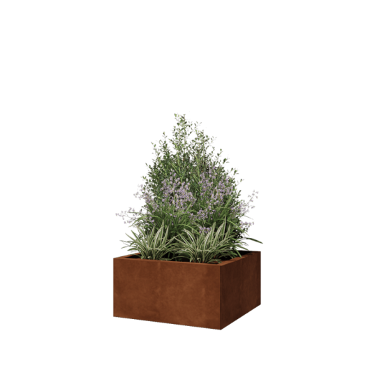 Cortenstaal plantenbak - Vierkant - 60 x 60 x 30 cm - Zonder bodemplaat