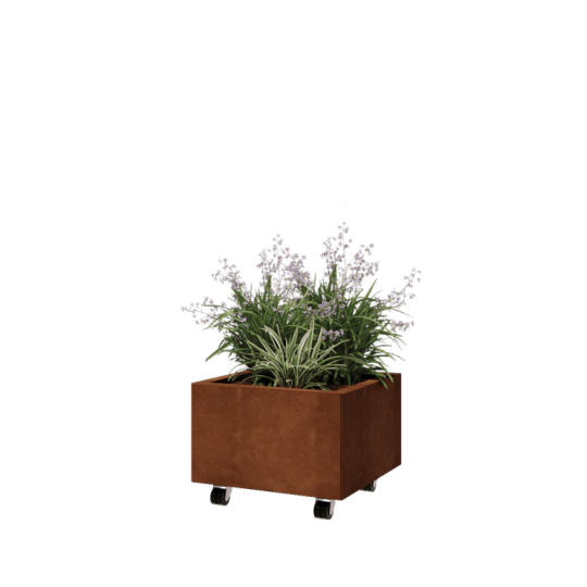 Cortenstaal plantenbak - Vierkant - 50 x 50 x 30 cm - Met bodemplaat - Met wielen