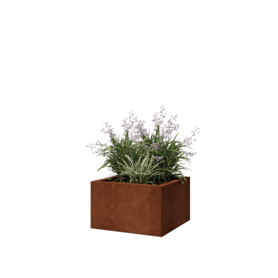 Cortenstaal plantenbak - Vierkant - 50 x 50 x 30 cm - Met bodemplaat