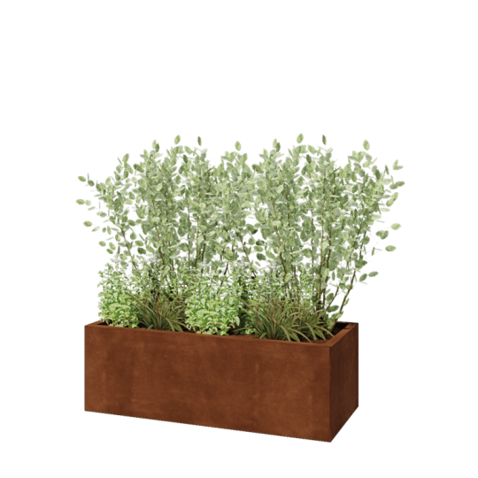 Cortenstaal plantenbak - Rechthoek - 120 x 50 x 40 cm - Zonder bodemplaat