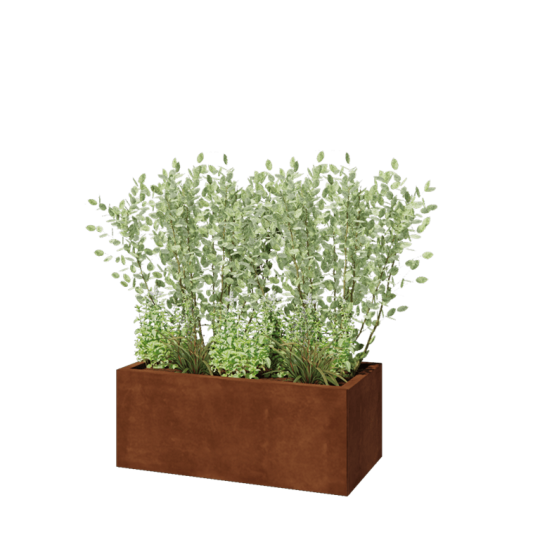 Cortenstaal plantenbak - Rechthoek - 100 x 50 x 40 cm - Zonder bodemplaat