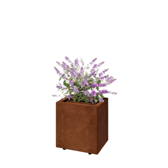 Cortenstaal plantenbak - Rechthoek - 40 x 30 x 40 cm - Met bodemplaat - Met poten