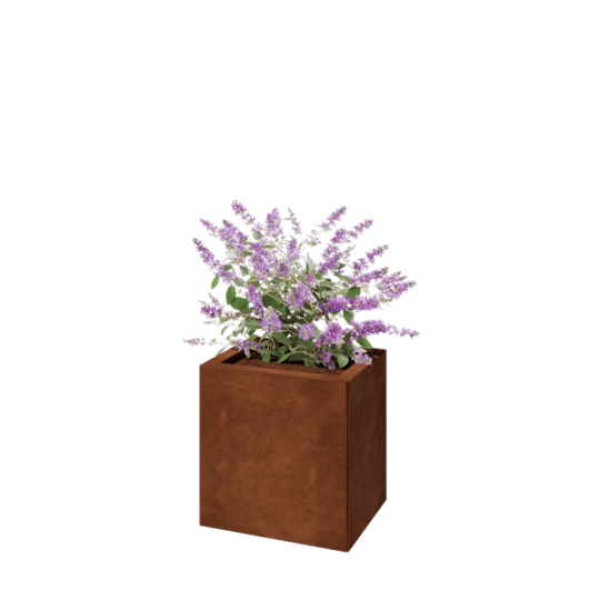 Cortenstaal plantenbak - Rechthoek - 40 x 30 x 40 cm - Zonder bodemplaat