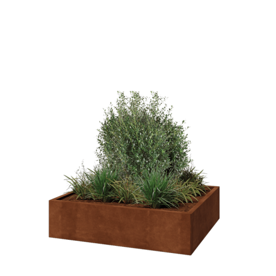 Cortenstaal plantenbak - Rechthoek - 120 x 100 x 30 cm - Met bodemplaat