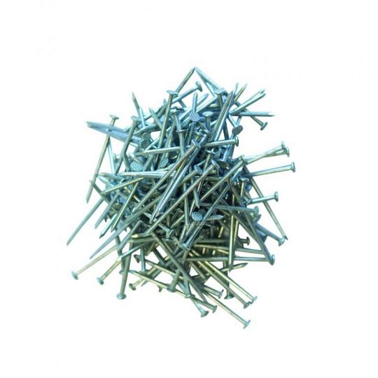 Dakplankspijkers 2,5 x 55 mm (200st.)