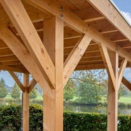 DHZ Carport Lemmer Douglas fijnbezaagd 450 x 600 cm