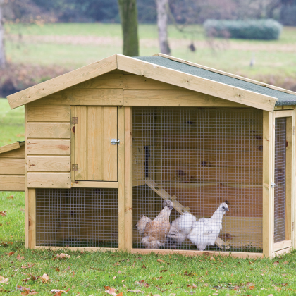 Dierenverblijf Barnevelder
