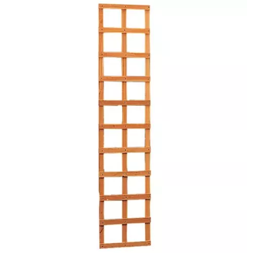 Hardhouten trellis rechthoek 56 x 180 cm.