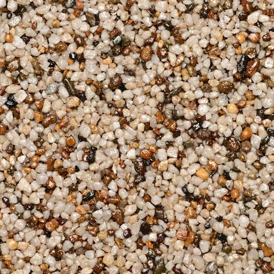WS StoneBinder Sea Shell