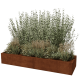 Cortenstaal plantenbak XXL - Rechthoek - 200 x 60 x 80 cm - Zonder bodemplaat